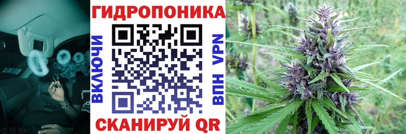 Какие есть наркотики Гвардейск КОКАИН  A PVP  ГАШИШ  Псилоцибиновые грибы  МЕФ  Каннабис 