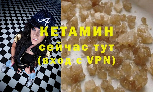индика Гусь-Хрустальный