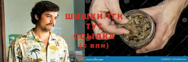 молекула духа Аркадак