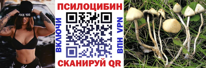 Псилоцибиновые грибы GOLDEN TEACHER Гвардейск