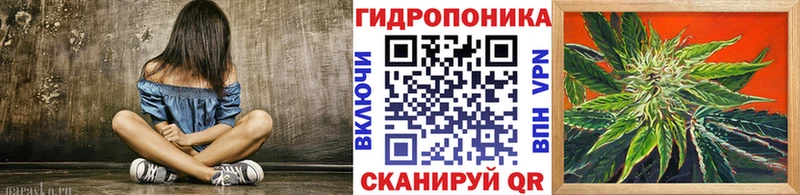 как найти наркотики  Гвардейск  Конопля марихуана 